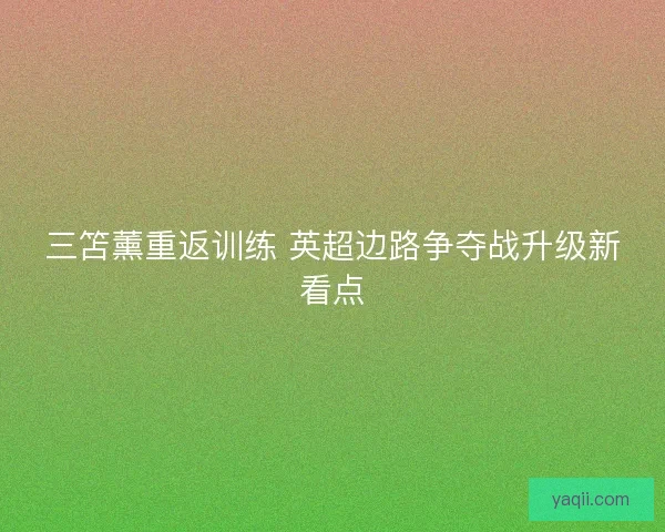三笘薰重返训练 英超边路争夺战升级新看点 三笘薰重返训练 英超边路争夺战升级新看点